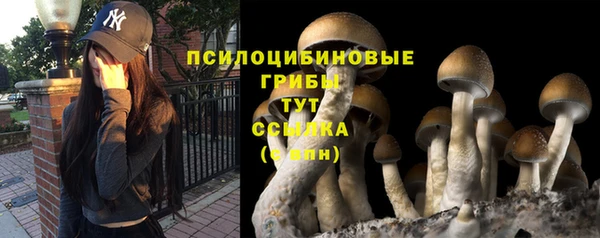 МДМА Белокуриха