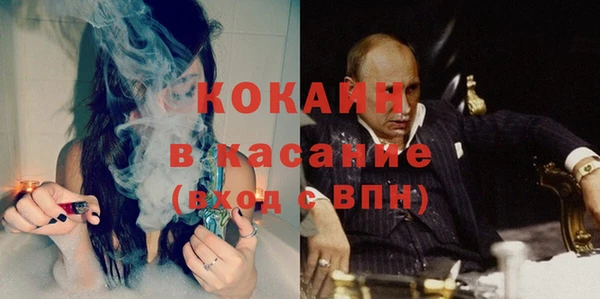 каннабис Богданович