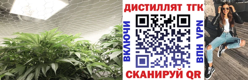 ТГК концентрат  Купить закладки  Заозёрный 