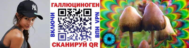 Псилоцибиновые грибы мухоморы  Купить закладки  Заозёрный 