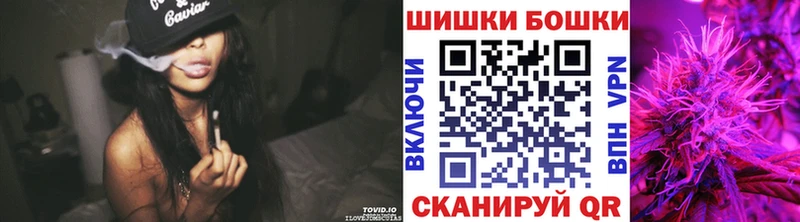 Купить где  Заозёрный  Бошки Шишки VHQ 